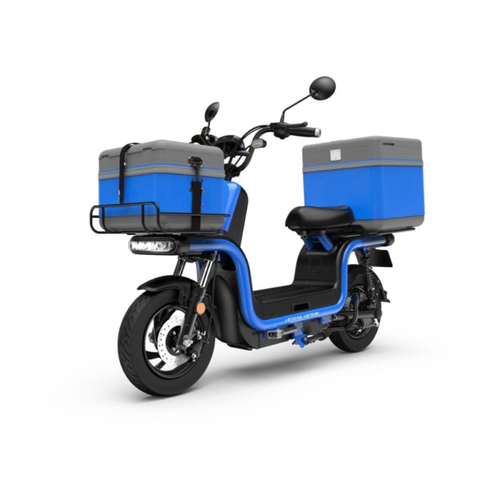 Cyclomoteur Électrique Modèle U1